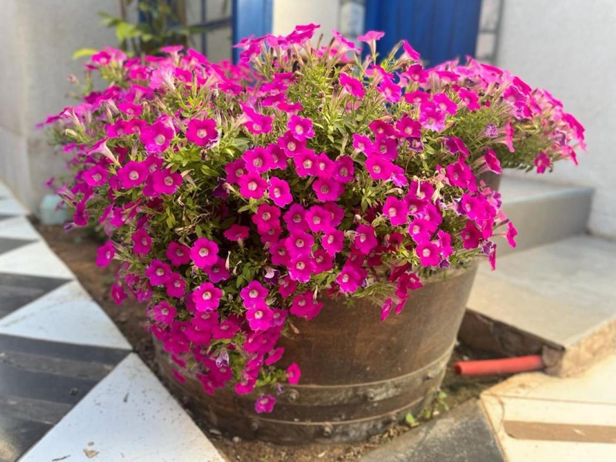 Ahuzat Shaul Seaside Bed & Breakfast Hadera Bagian luar foto